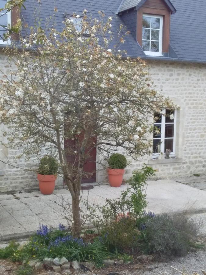 Chambre De Rose - Le Refuge Des Parachutistes - En Bordure Du Marais Neuville-au-Plain Buitenkant foto