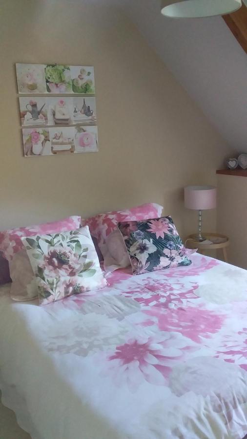 Chambre De Rose - Le Refuge Des Parachutistes - En Bordure Du Marais Neuville-au-Plain Buitenkant foto