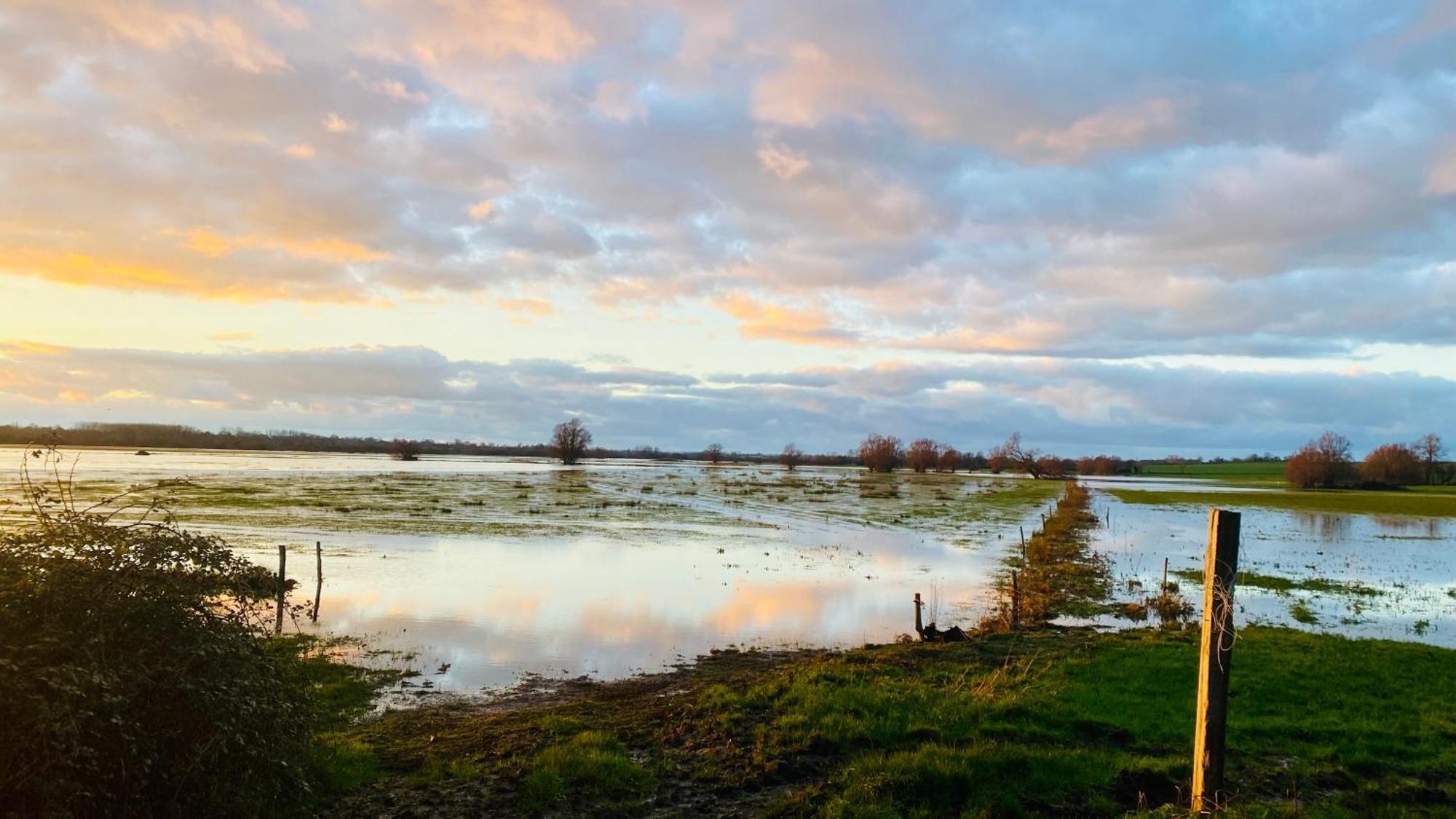 Chambre De Rose - Le Refuge Des Parachutistes - En Bordure Du Marais Neuville-au-Plain Buitenkant foto