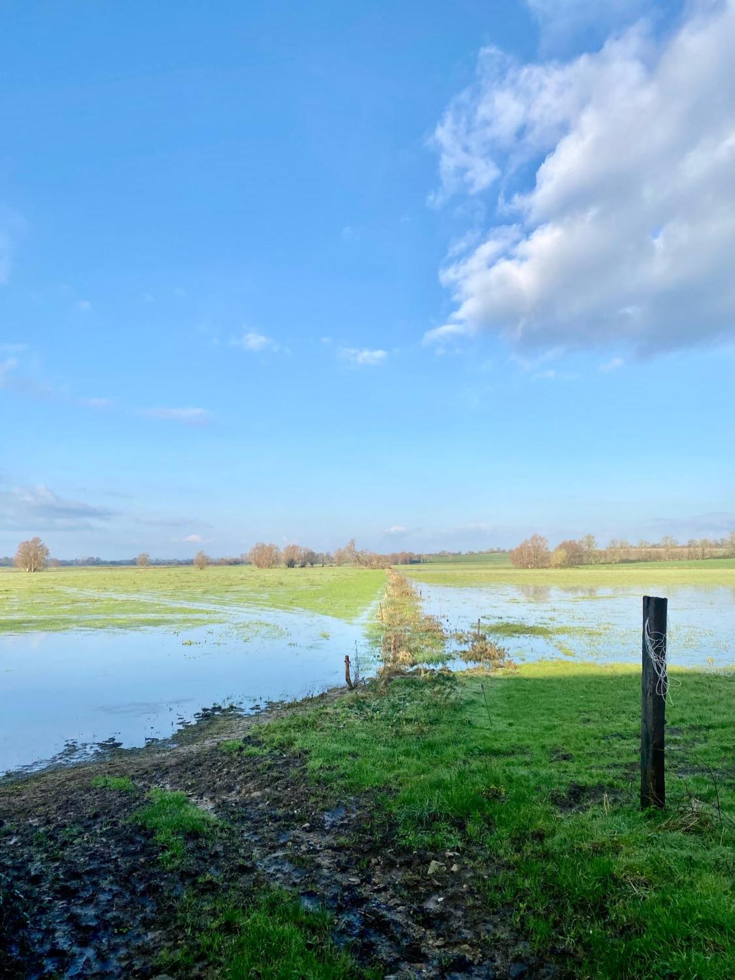 Chambre De Rose - Le Refuge Des Parachutistes - En Bordure Du Marais Neuville-au-Plain Buitenkant foto